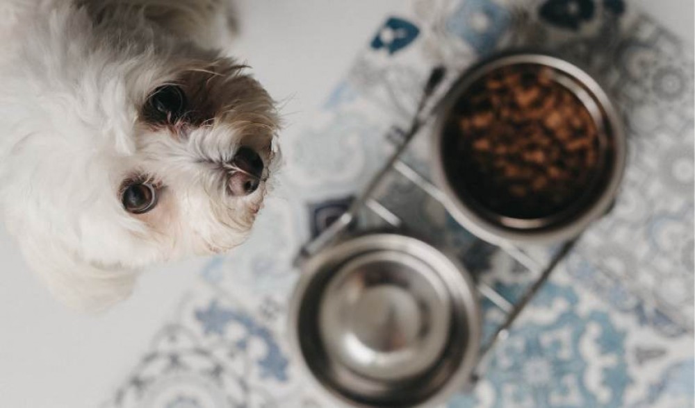 Maty ochronne, Nowa kolekcja 2022